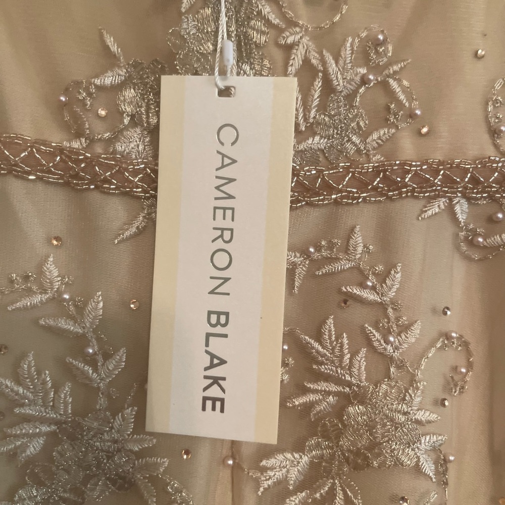 Gorgeous champagne mother-of-the-bride dress - Picture 7 of 7